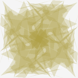 Самохина Ангелина Сергеевна