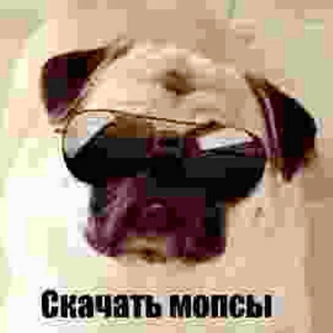 Сивухова Софья Николаевна